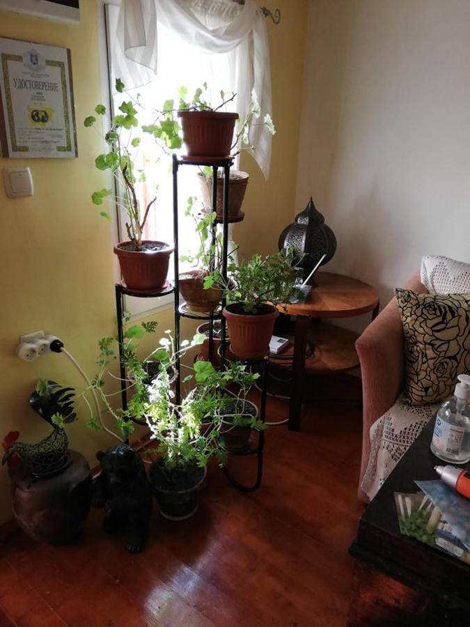 Guest House Vodolei 코텔 외부 사진