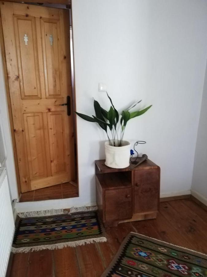 Guest House Vodolei 코텔 외부 사진