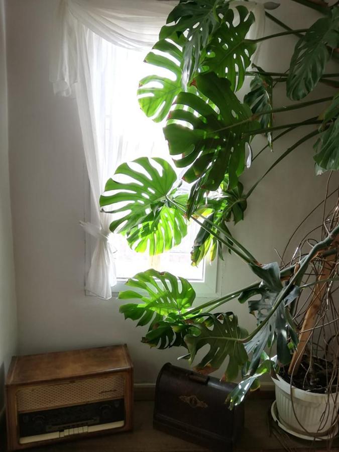 Guest House Vodolei 코텔 외부 사진