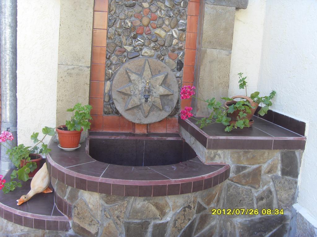 Guest House Vodolei 코텔 외부 사진