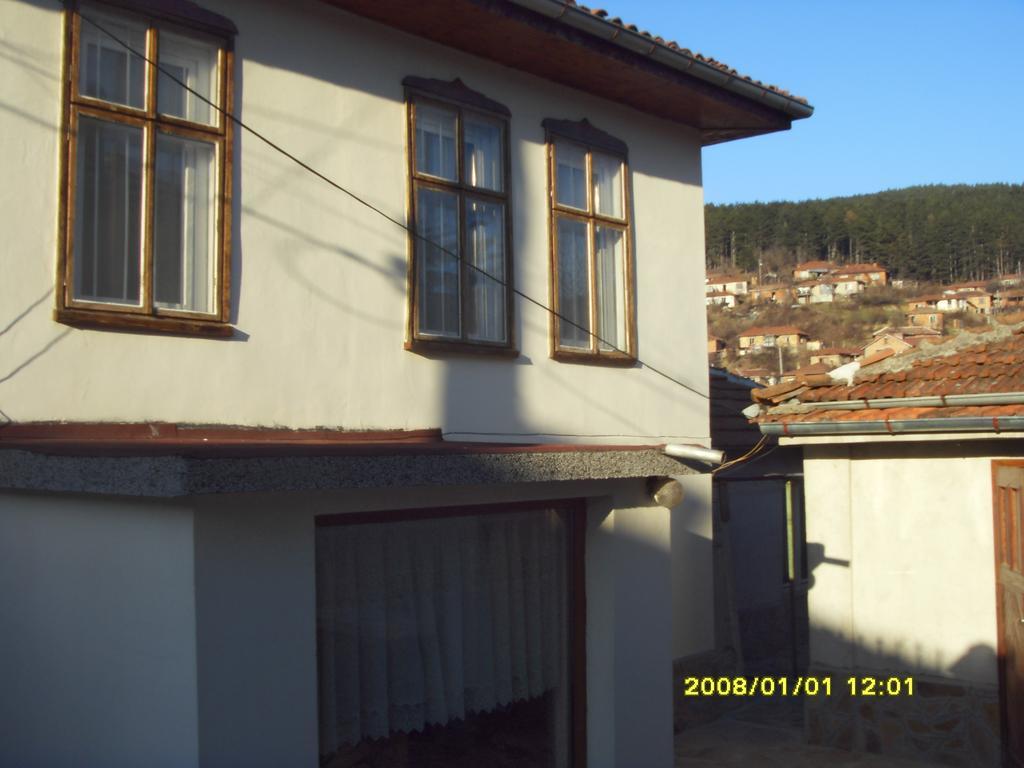 Guest House Vodolei 코텔 외부 사진